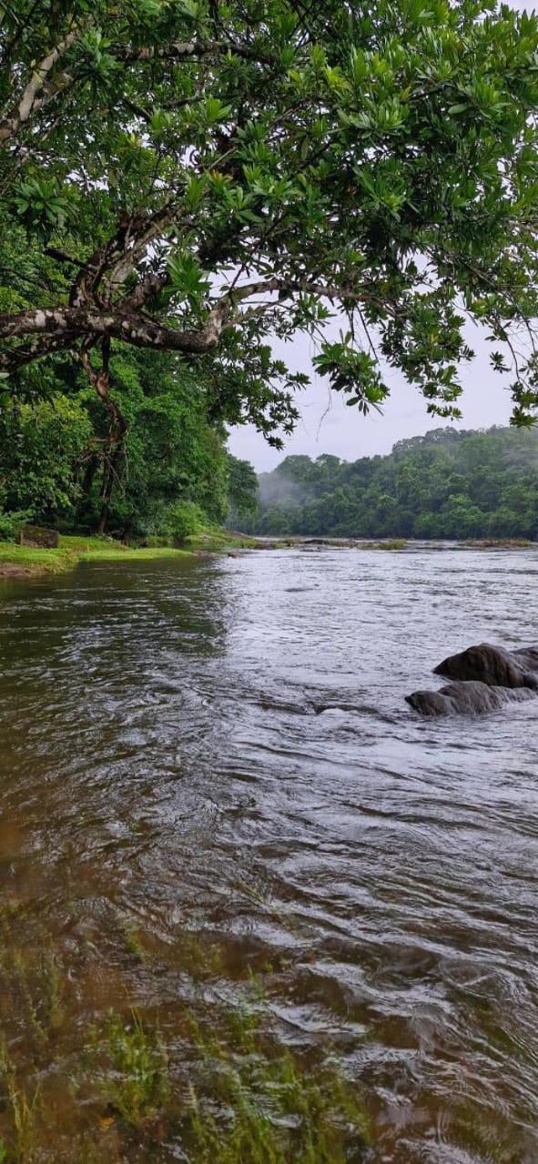 Falcon Riverview Resorts Kuttampuzha المظهر الخارجي الصورة